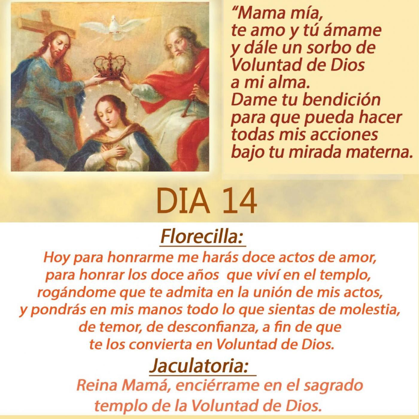 DIVINA VOLUNTAD CONSAGRACION A LA REINA DEL CIELO