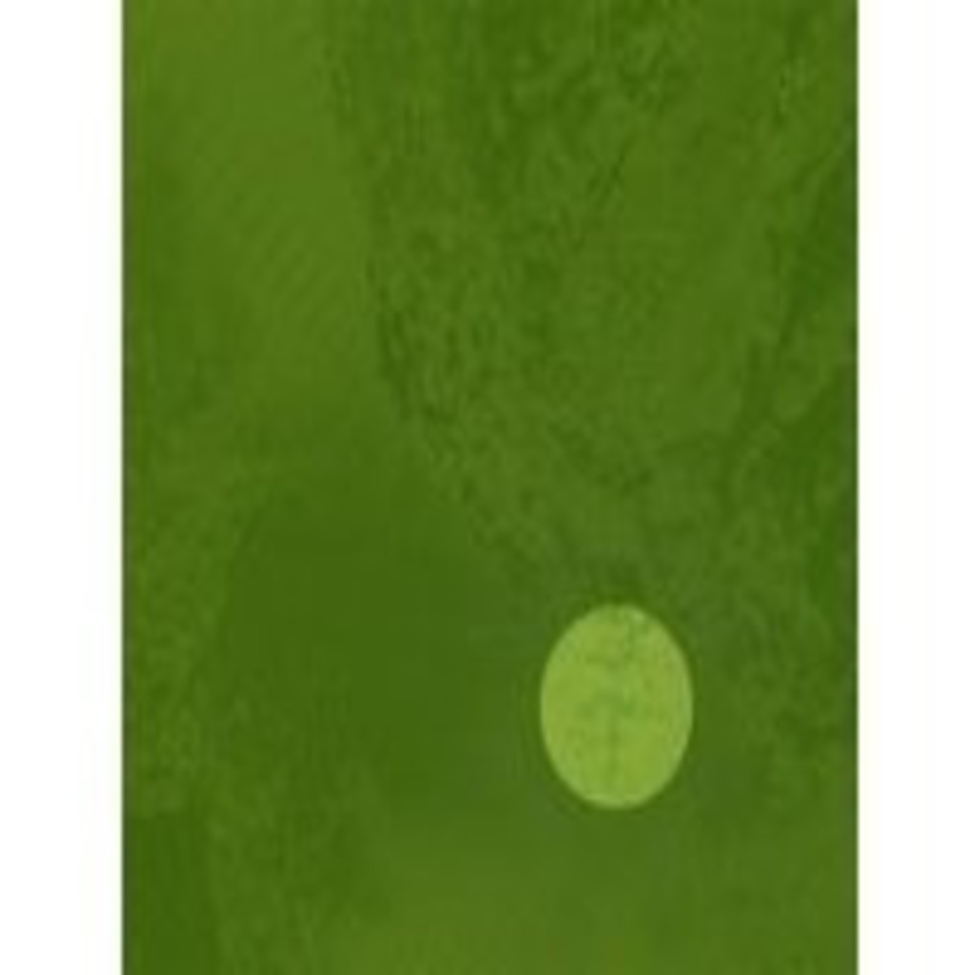 El Telescopio 198, con Lüger, Boris, Comet Gain, Miles Davis, Espasmodicos, Woods... episode artwork