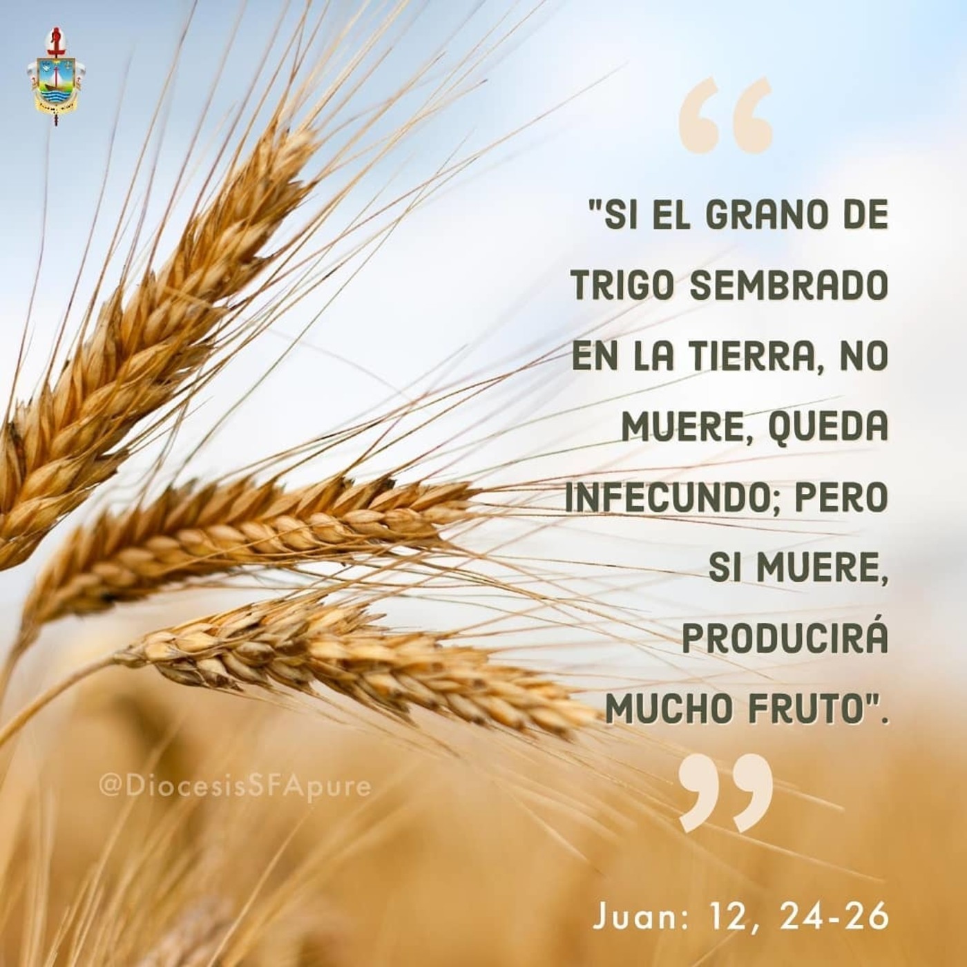 Buceando el Evangelio