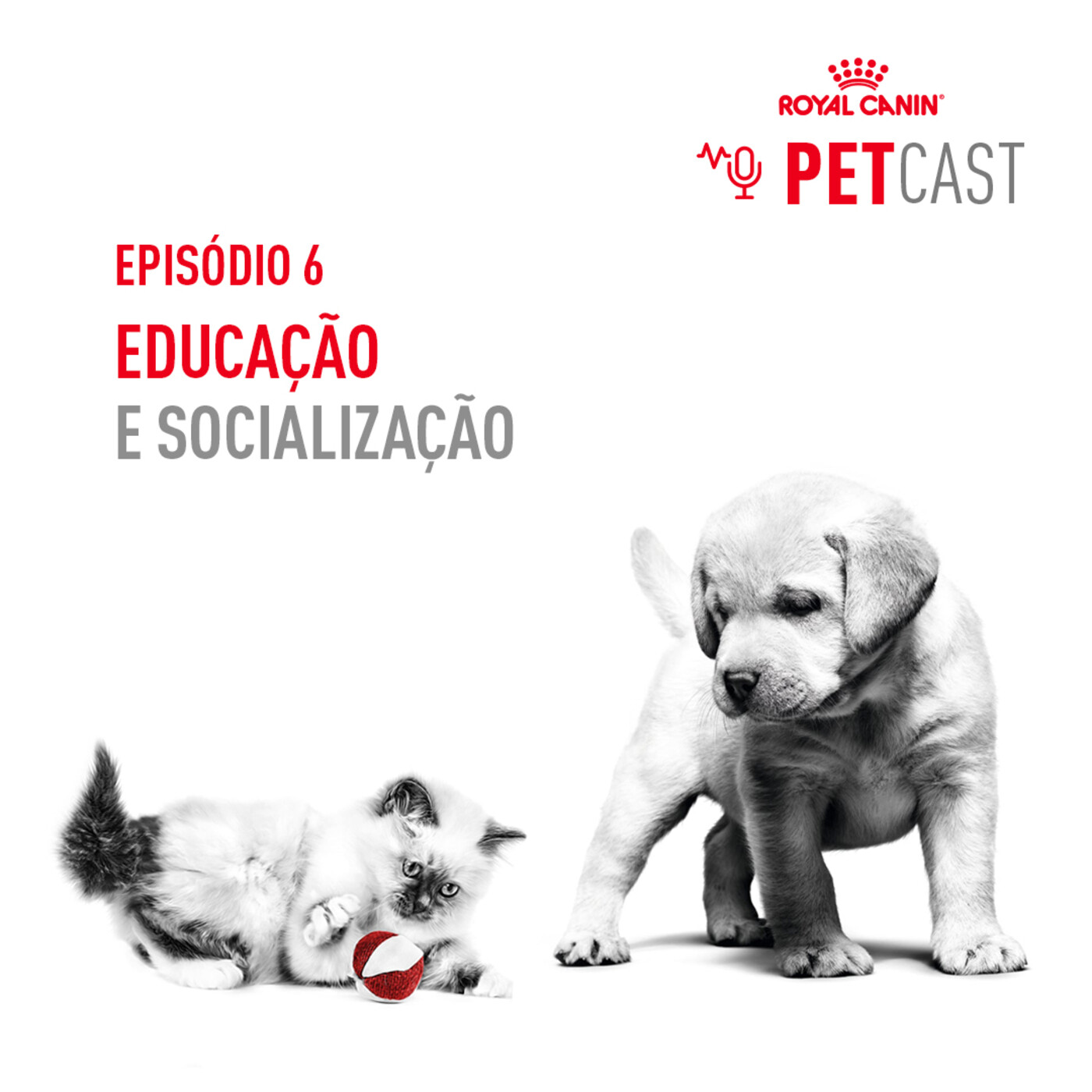 ROYAL CANIN PETCASTS PORTUGAL