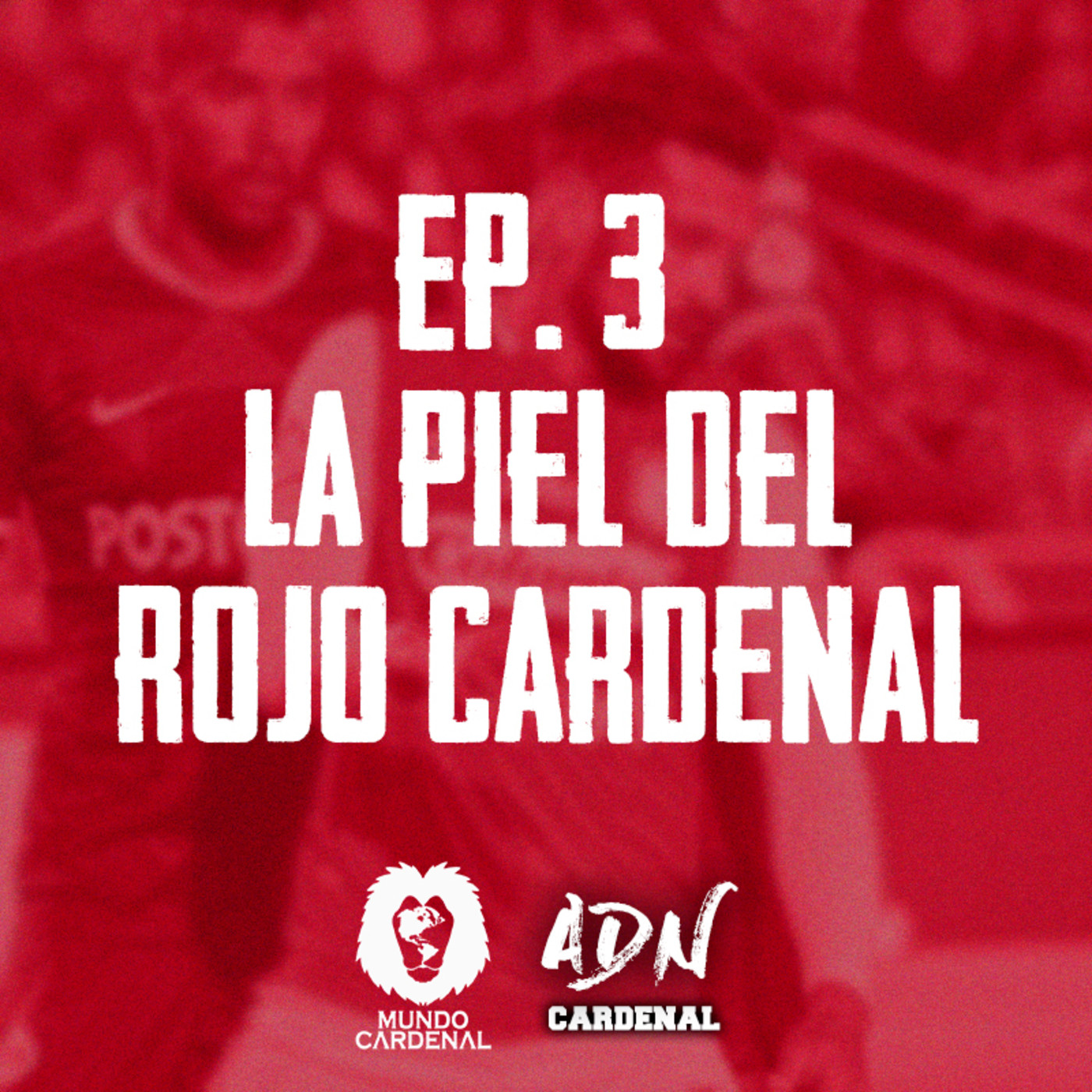 ADN Cardenal