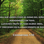 Presentación Palabra Pastoral 2019 - 06/01/2019 - Miguel Vilas