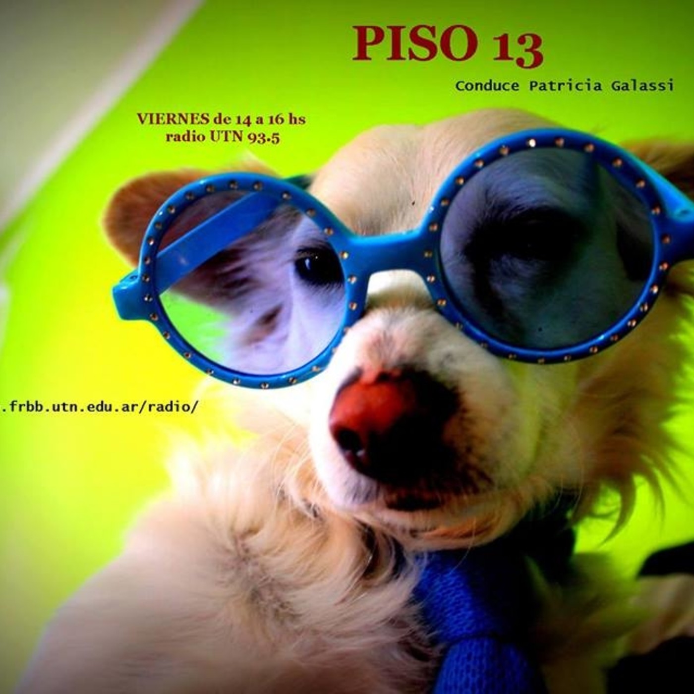 Piso 13