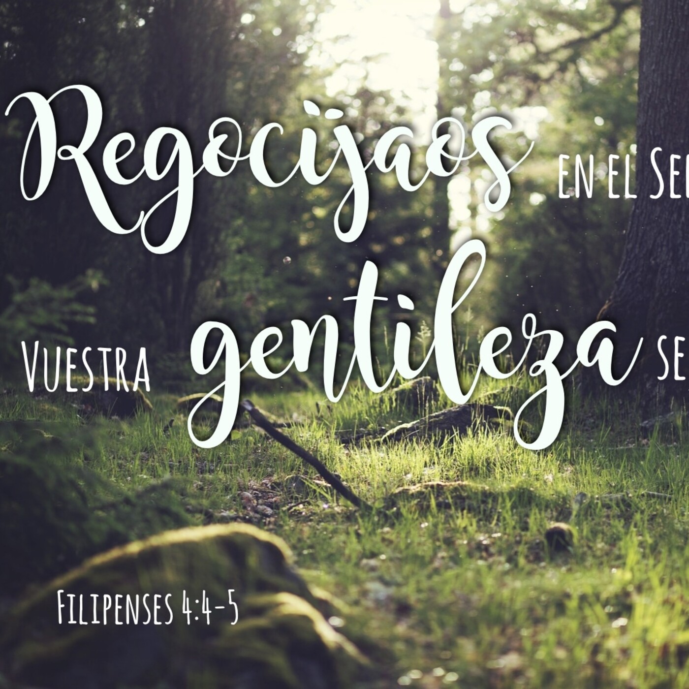 Odres Nuevos Iglesia Cristiana