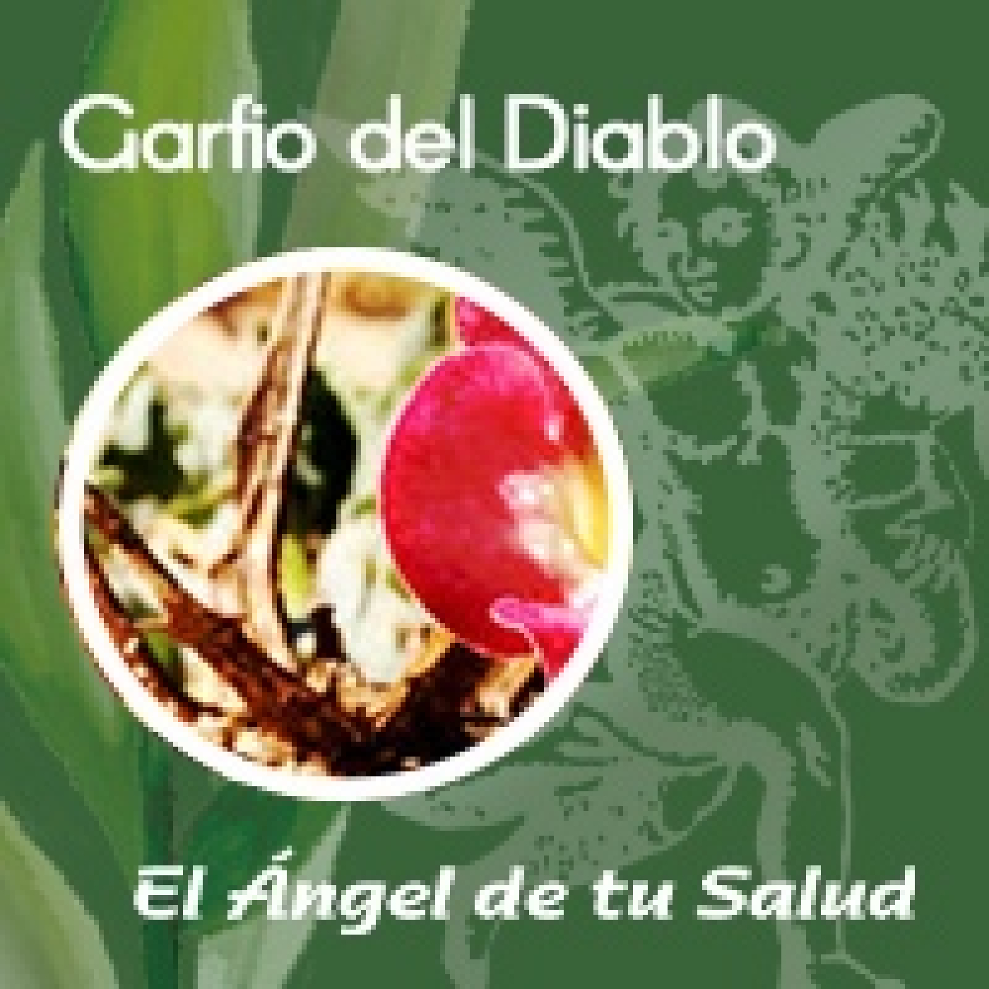 El Ángel de tu Salud - Garfio del Diablo**