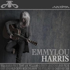 embed image