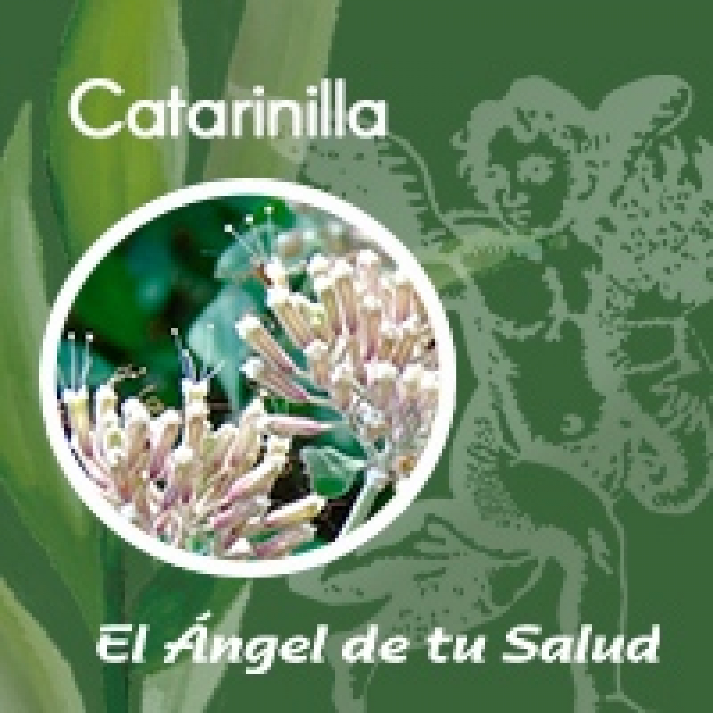 El Ángel de tu Salud - Catarinilla **