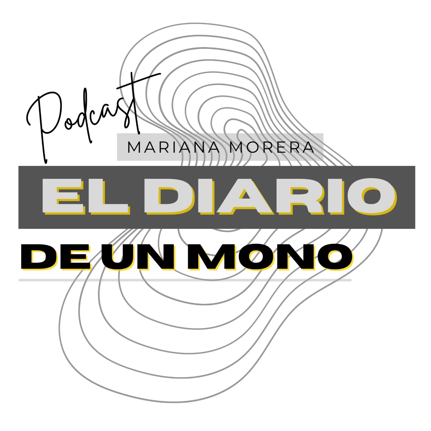 El Diario de un artista