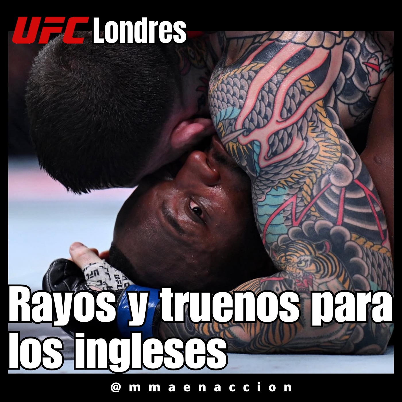 MMA en acción