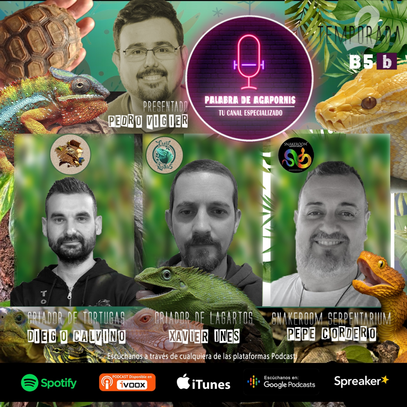 B5b Reptiles, dignificados por la Ley de Bienestar Animal (Segunda parte)