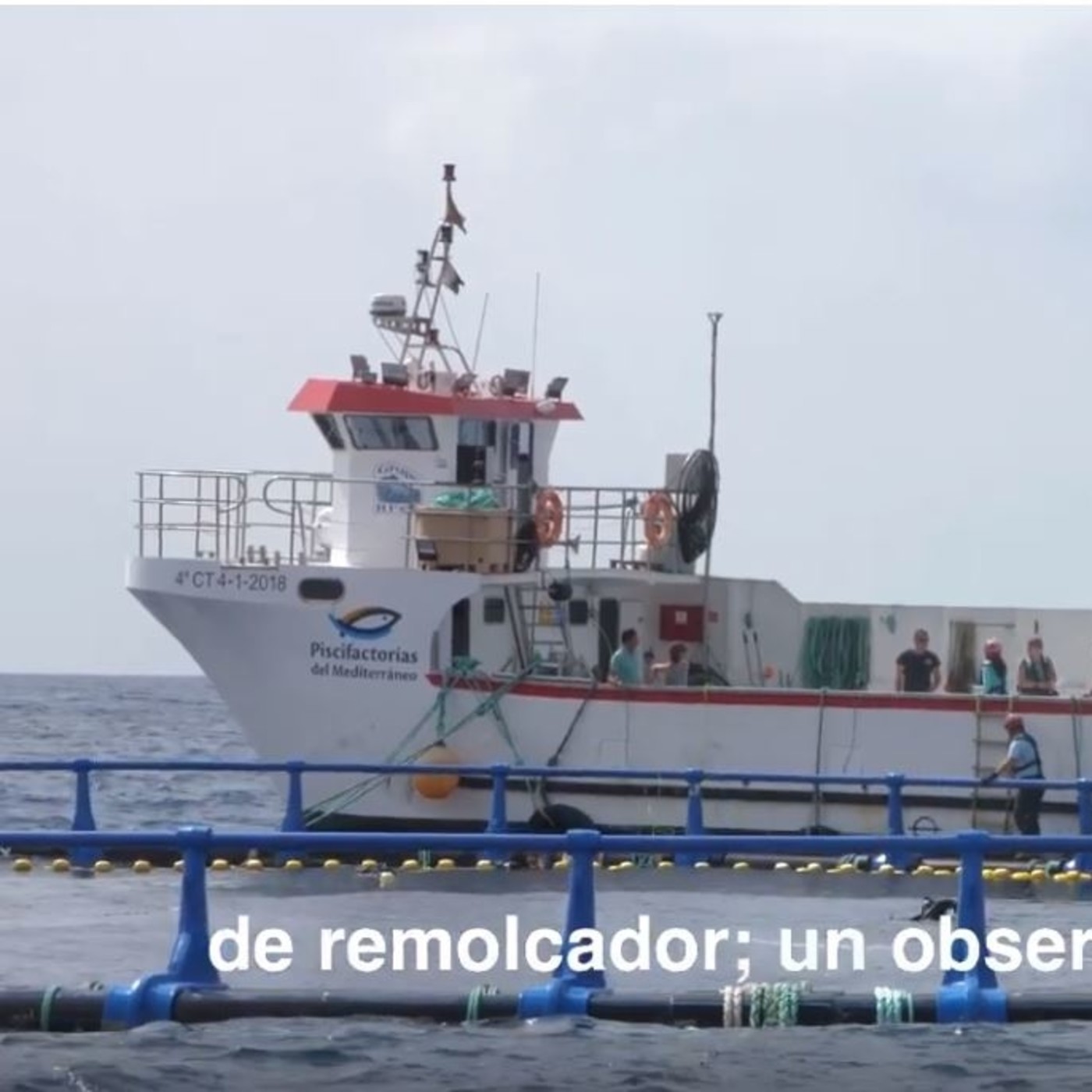 Ricardo Fuentes Atun Rojo