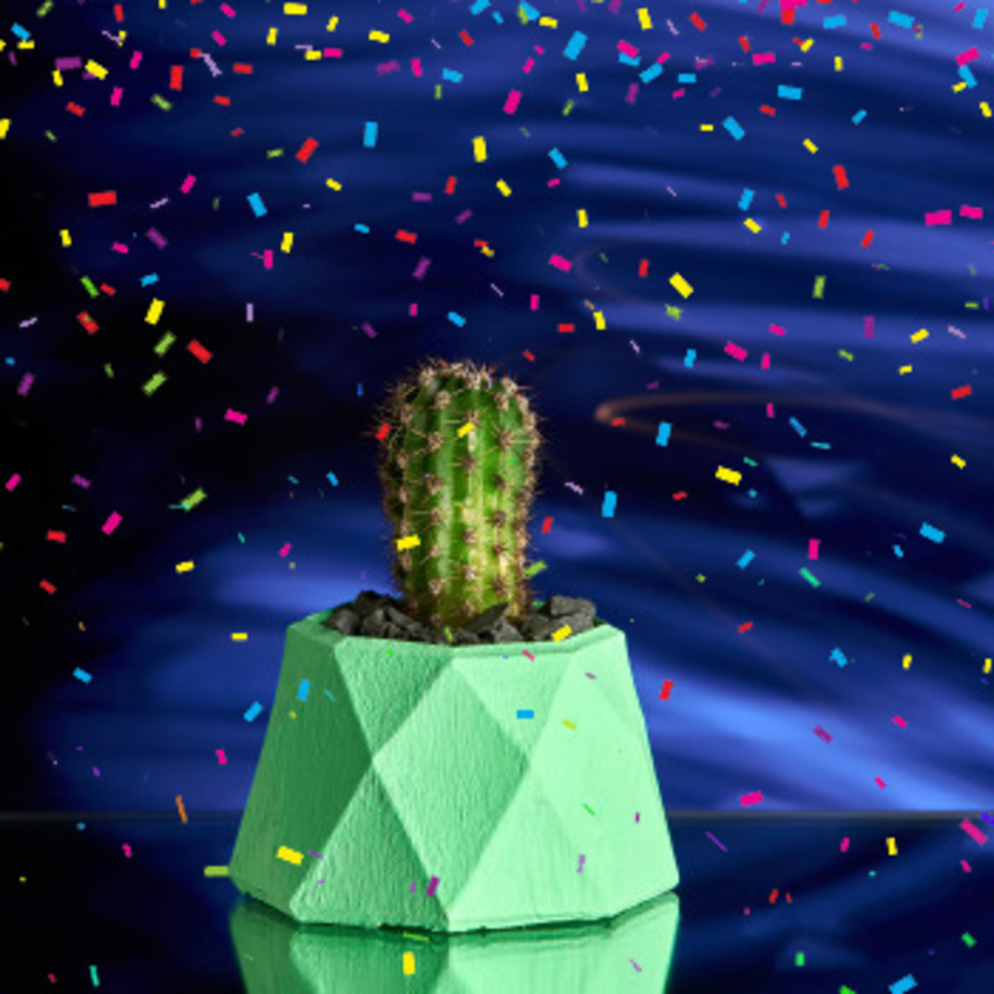 Cactus Confetti