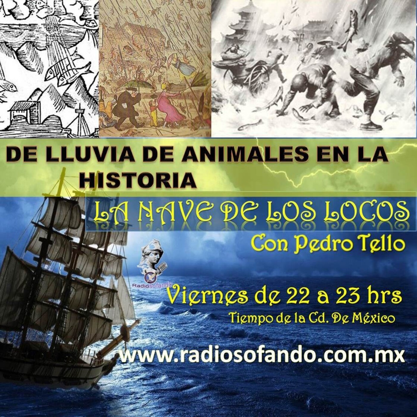 La Nave de los Locos_LLUVIA DE ANIMALES EN LA HISTORIA_08-01-21 episode artwork