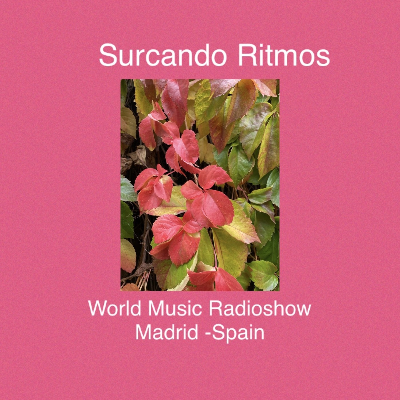 Surcando Ritmos