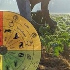 Catas biodinámicas: la última chorrimemez