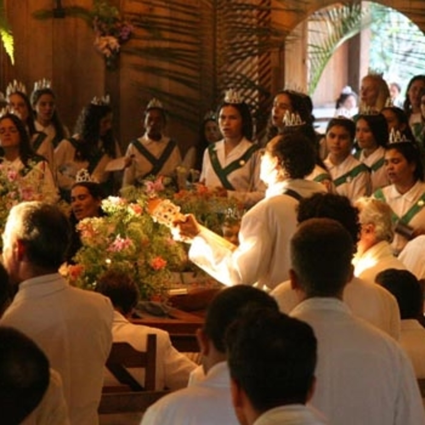 Plantas y Medicinas Sagradas