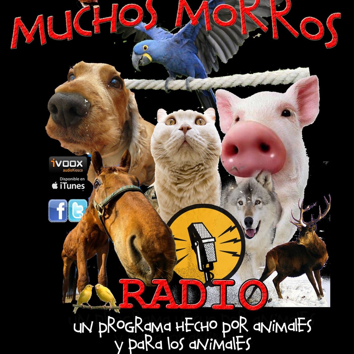 MUCHOS MORROS