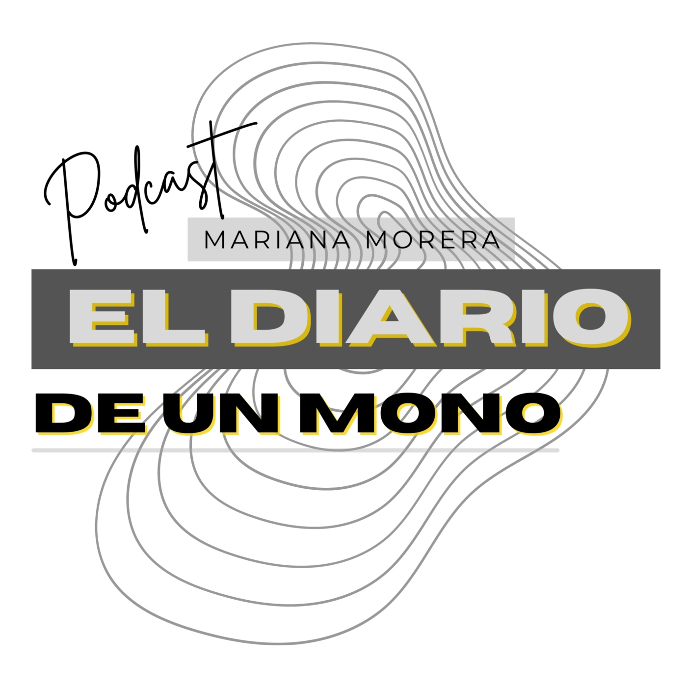 El Diario de un artista