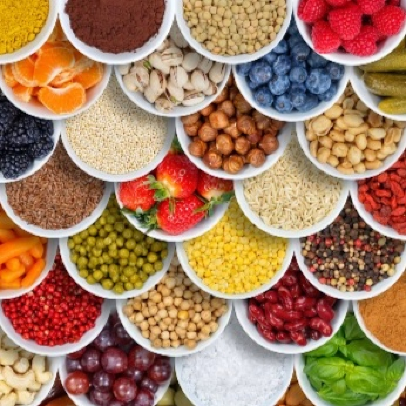 La Vida Biloba de la Dra. Nuria Lorite Ayán