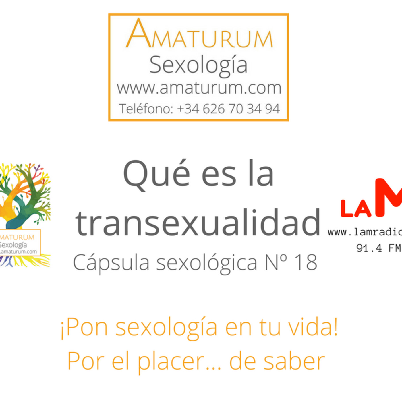 Qué es la transexualidad episode artwork