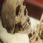 Las momias coptas de Antinoópolis
