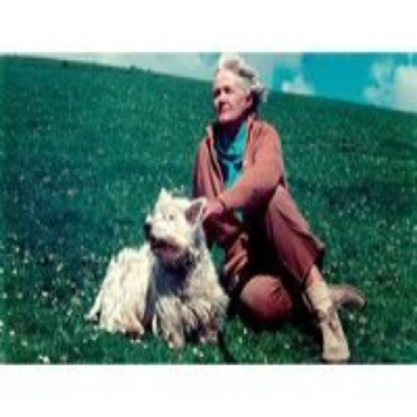 Book author videos