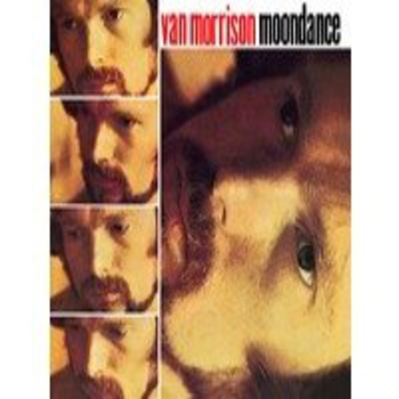 Discos para una isla Desierta - Van Morrison episode artwork