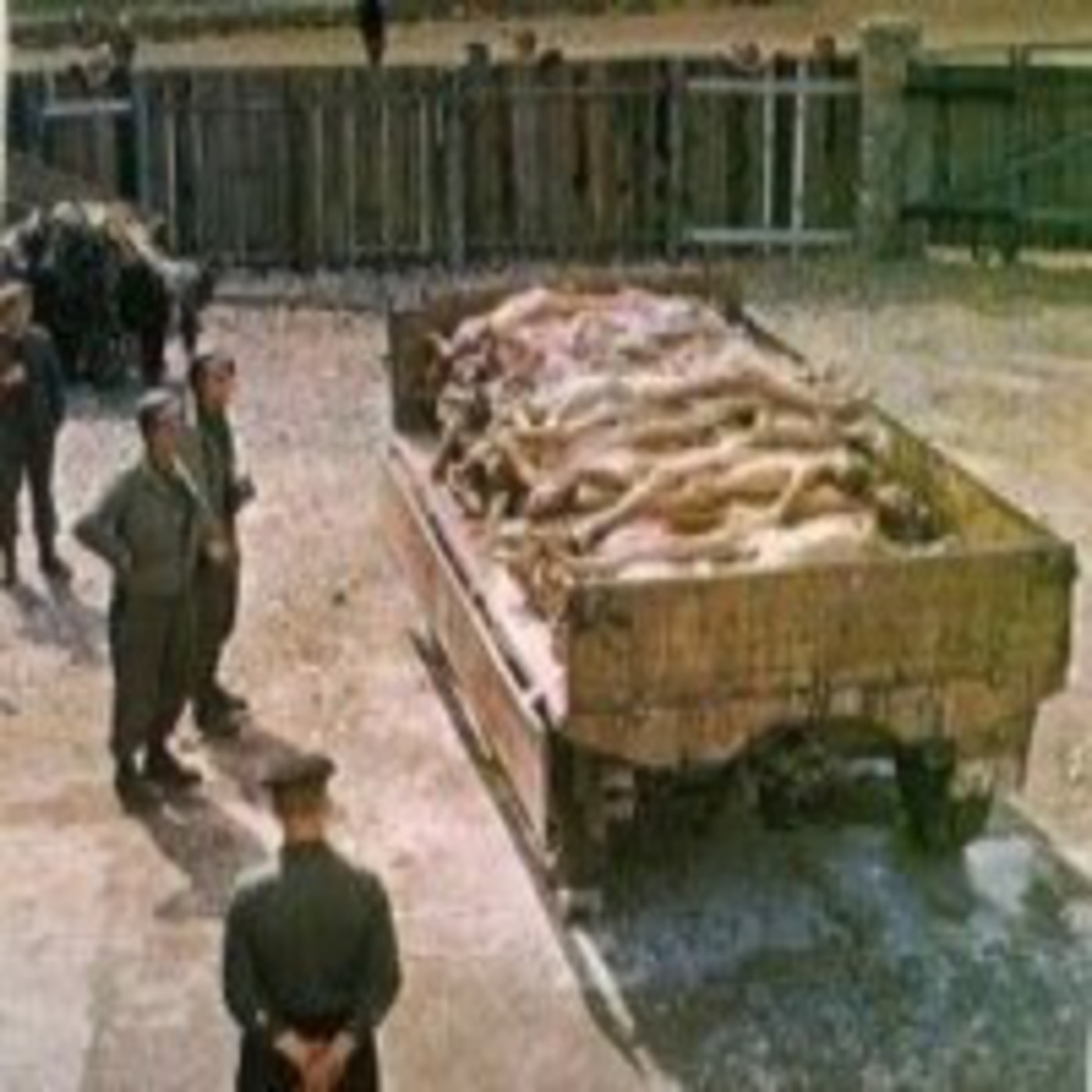 Los campos de concentración Nazis al descubierto episode artwork