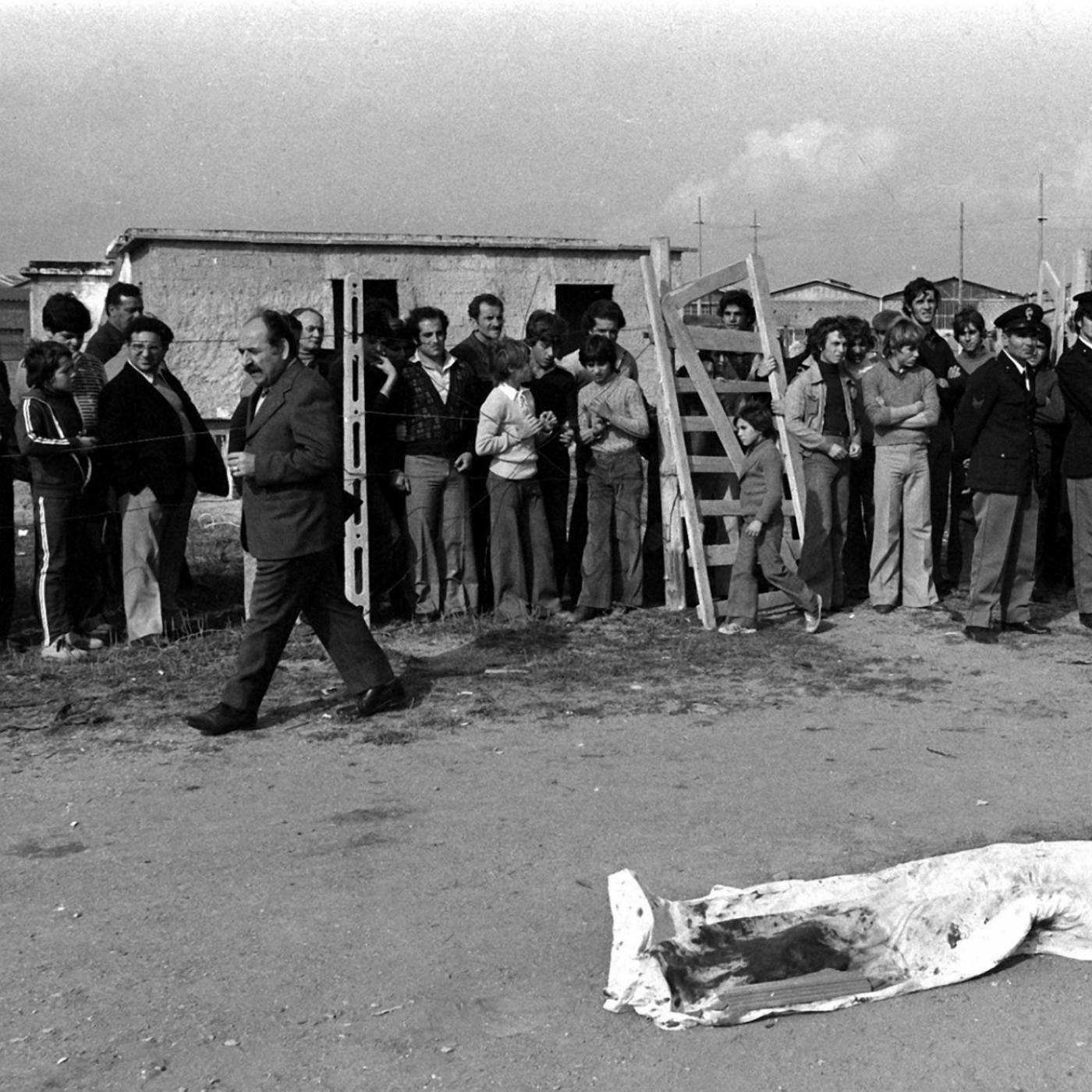 Medio siglo del asesinato de Pier Paolo Pasolini: ¿Un crimen grupal? - Episodio exclusivo para mecenas episode artwork
