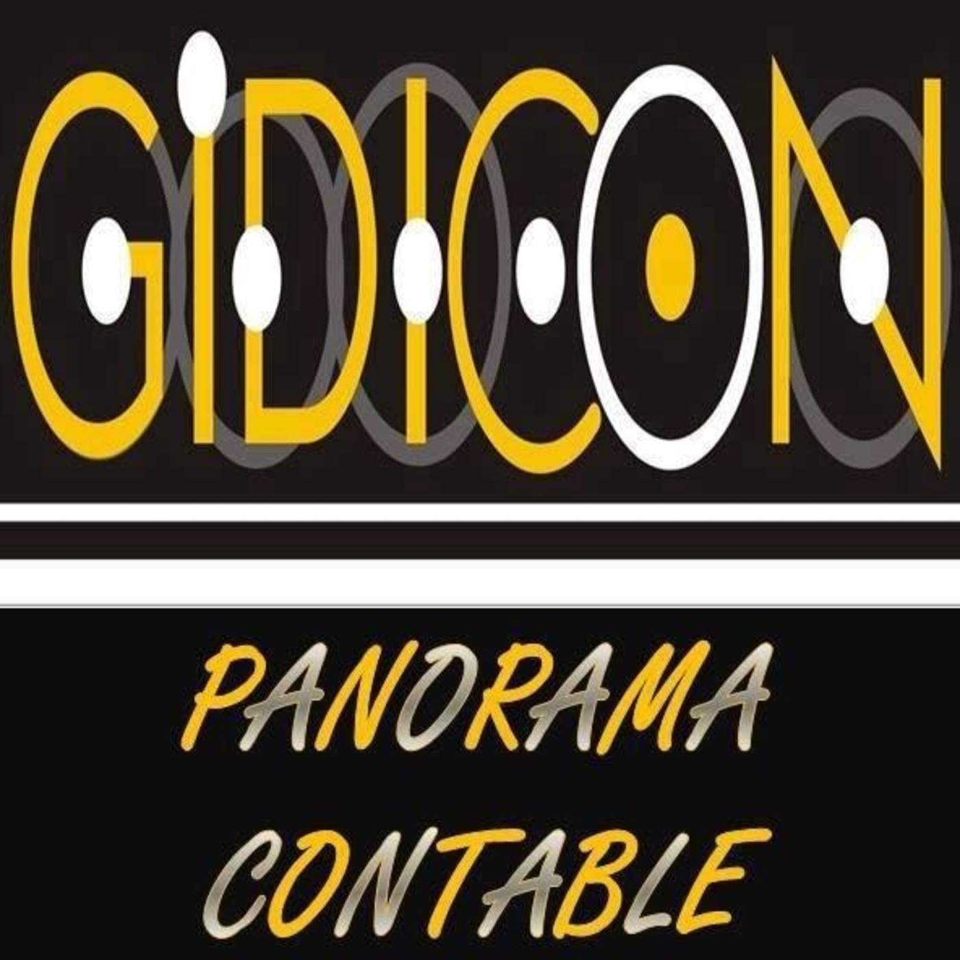 Panorama Contable
