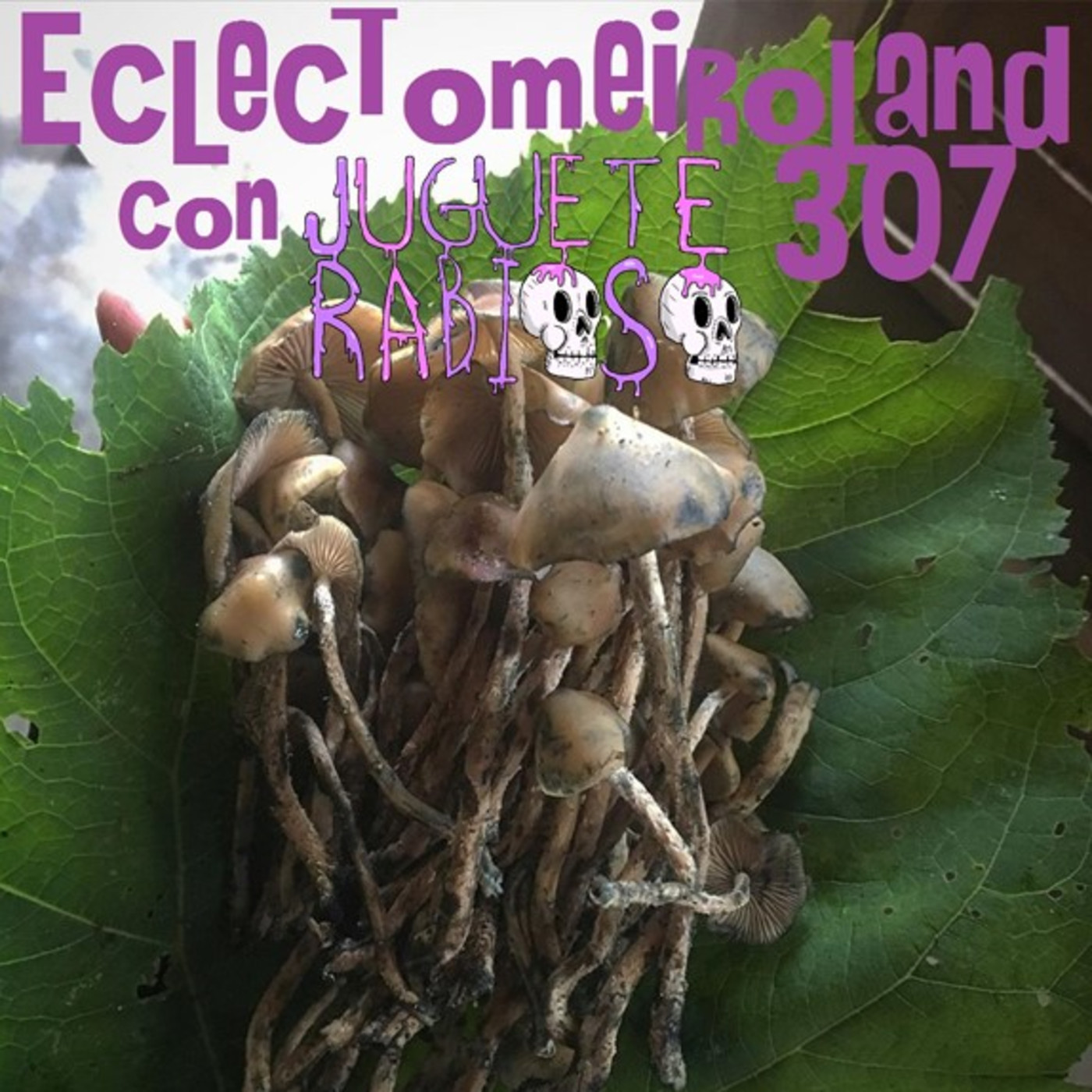 Eclectomeiroland 307 episode artwork