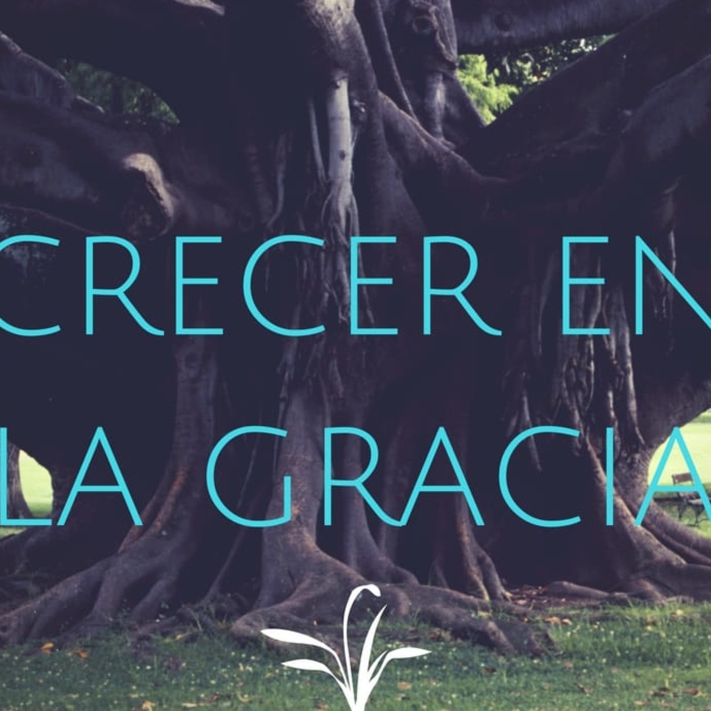 Crecer en la Gracia 3 Dios me ama - Pastor Kenneth Solá episode artwork