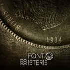 embed image