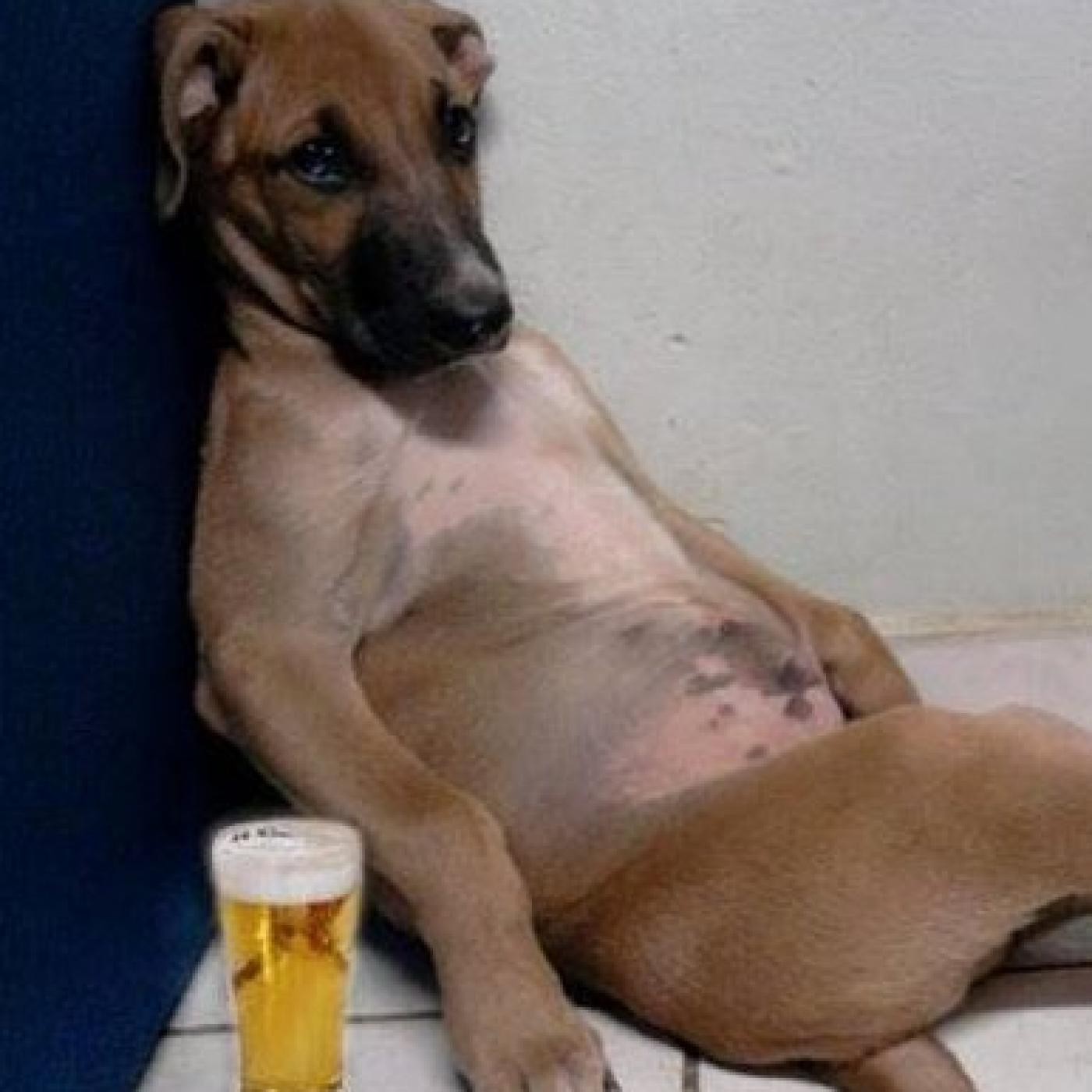 Anuncio cerveza Steinburn jejejeje