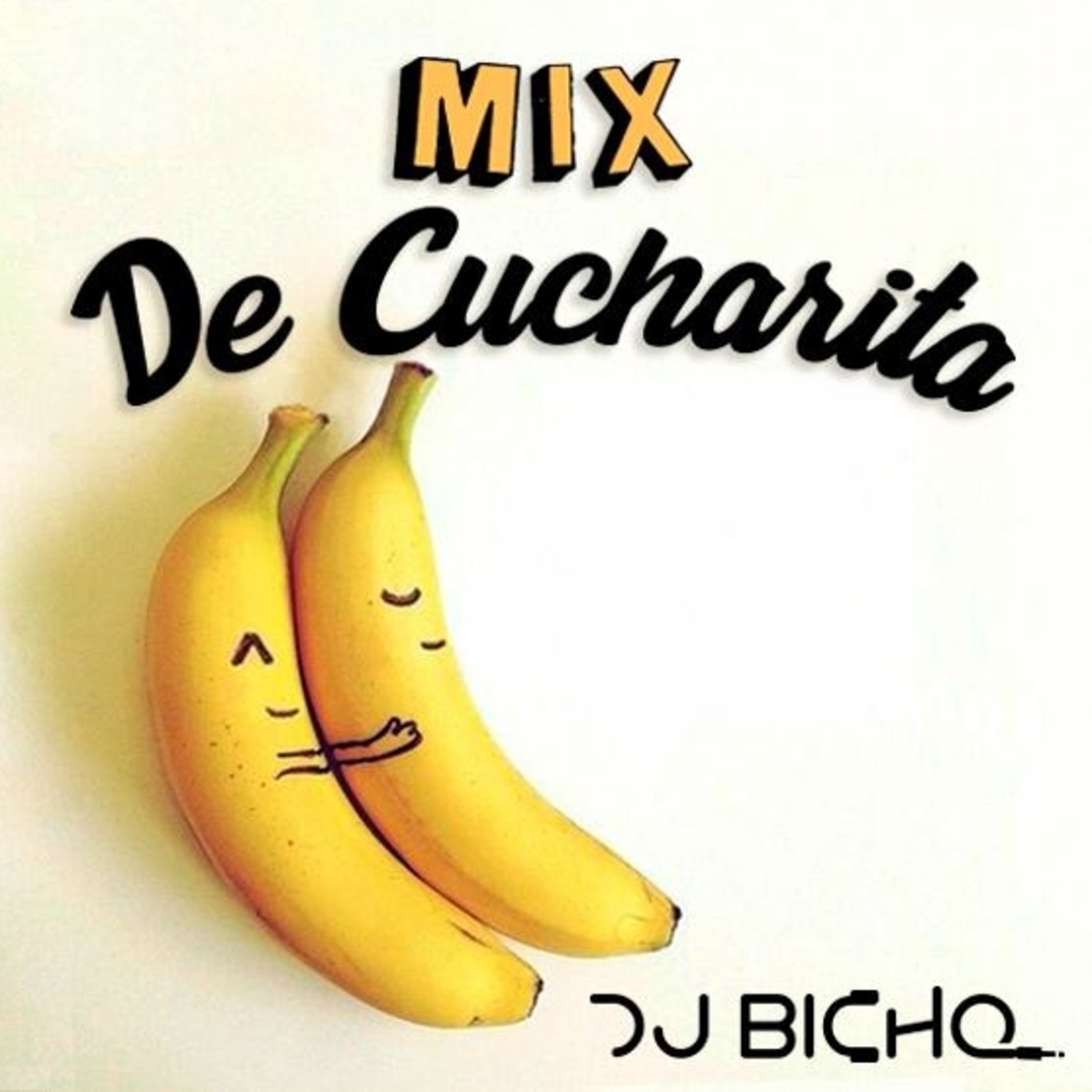 Dj Bicho