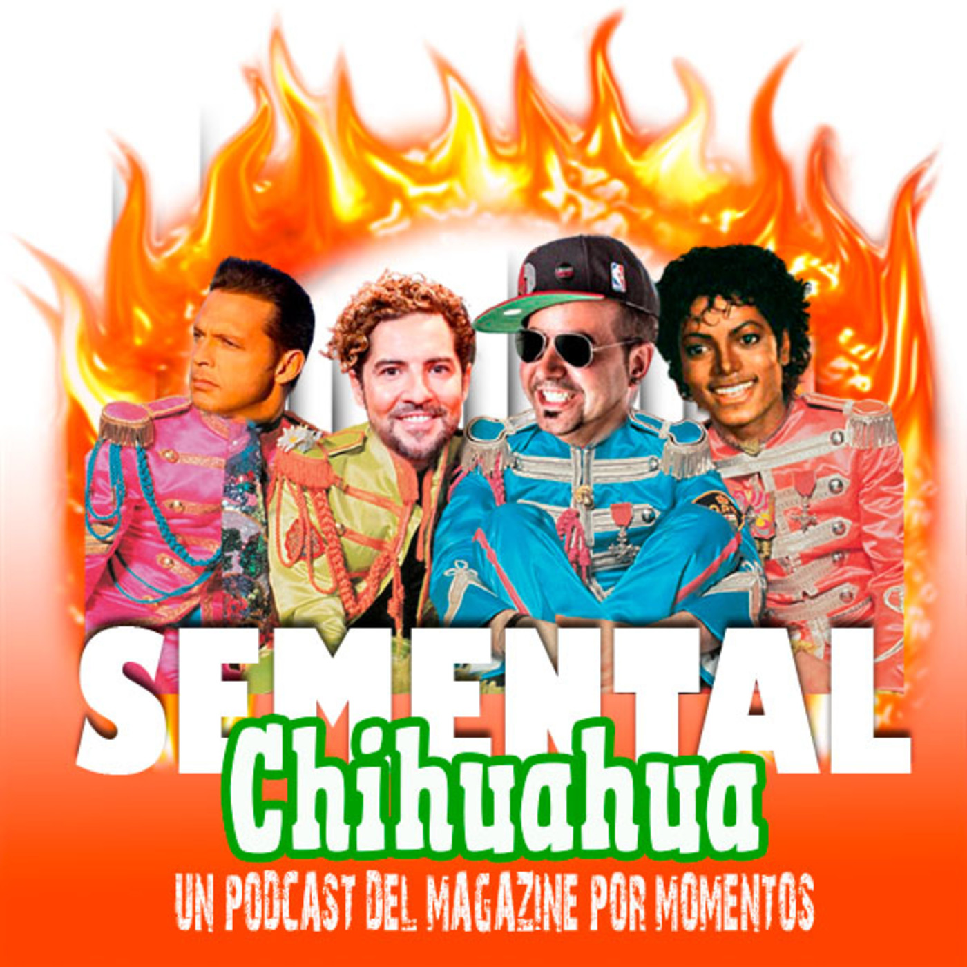 Semental Chihuahua