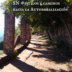 SN #63: Los 4 caminos hacia la Autorrealización