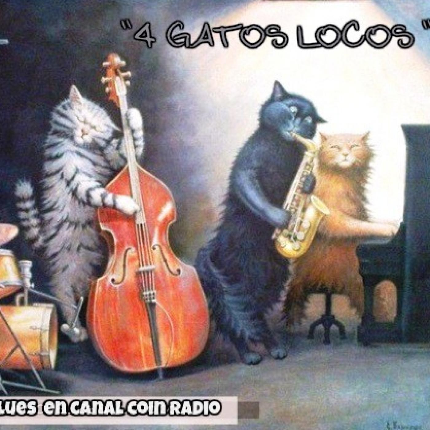 4 gatos locos