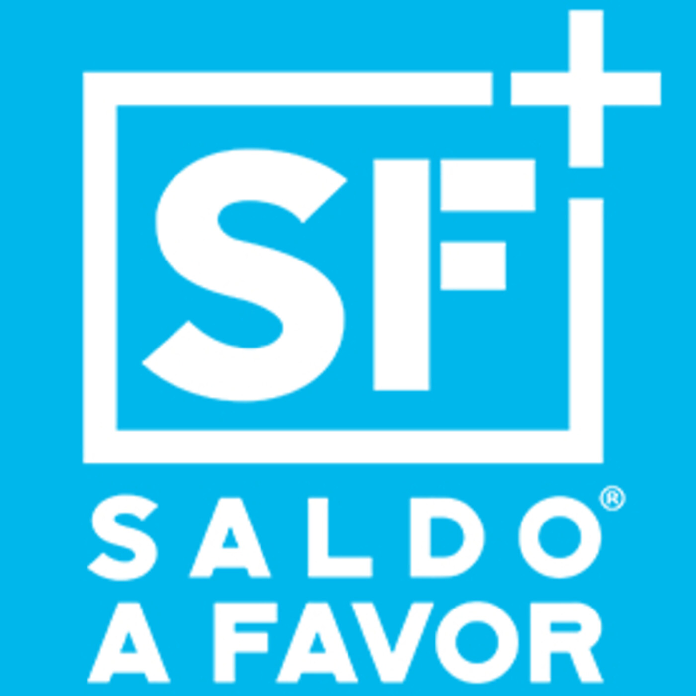 Saldo a Favor