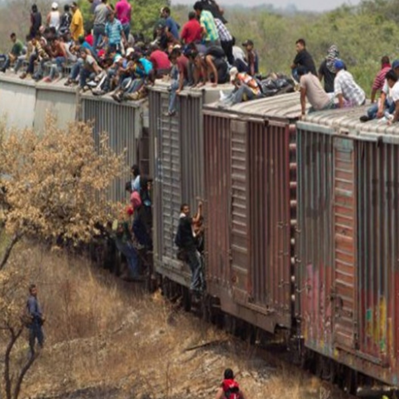 Un lustro de Mixtecos y Migrantes