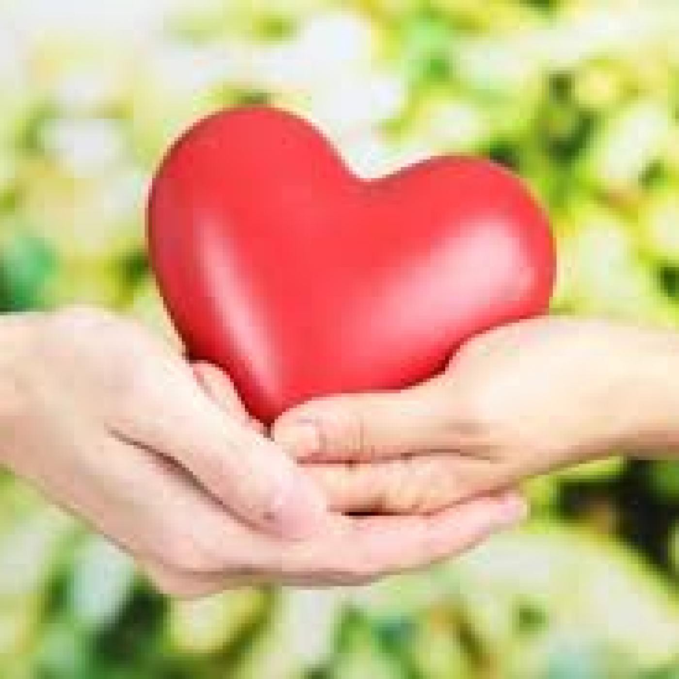 La Vía del Corazón