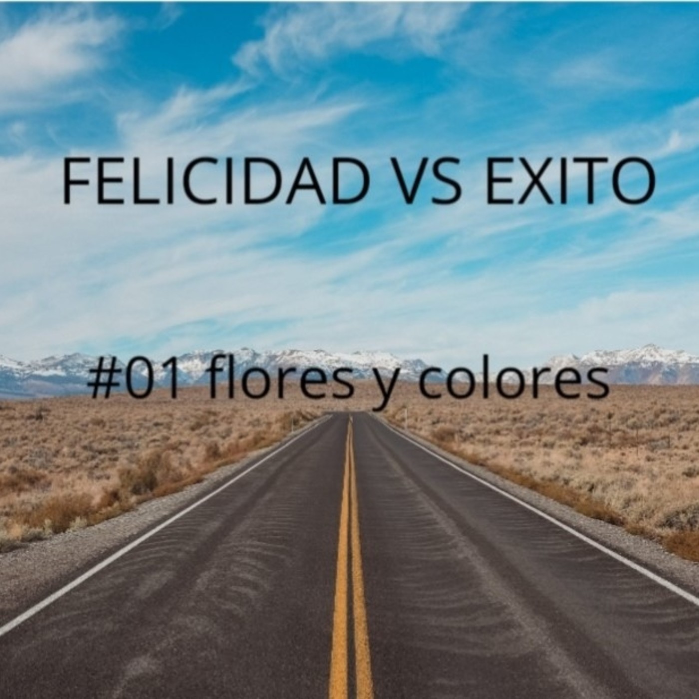 Flores y colores
