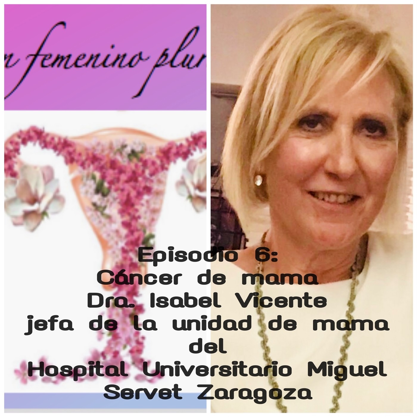 EN FEMENINO PLURAL
