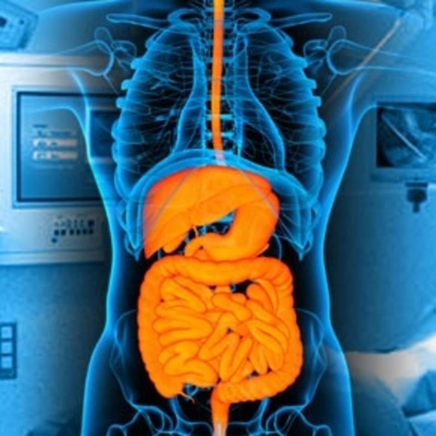 Fragmentos de Memorias - Podcast