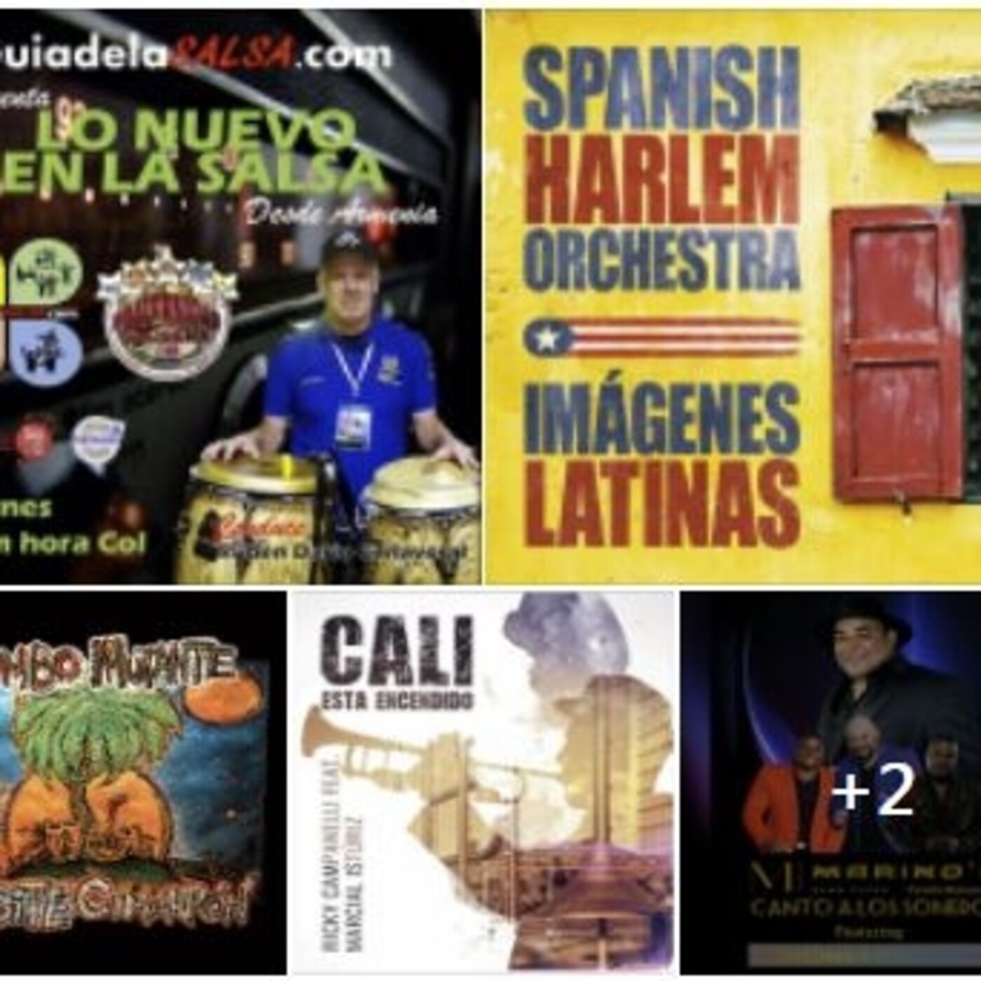 LO NUEVO EN LA SALSA