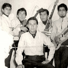 embed image
