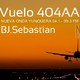 VUELO "404" AA (23-01-2019)
