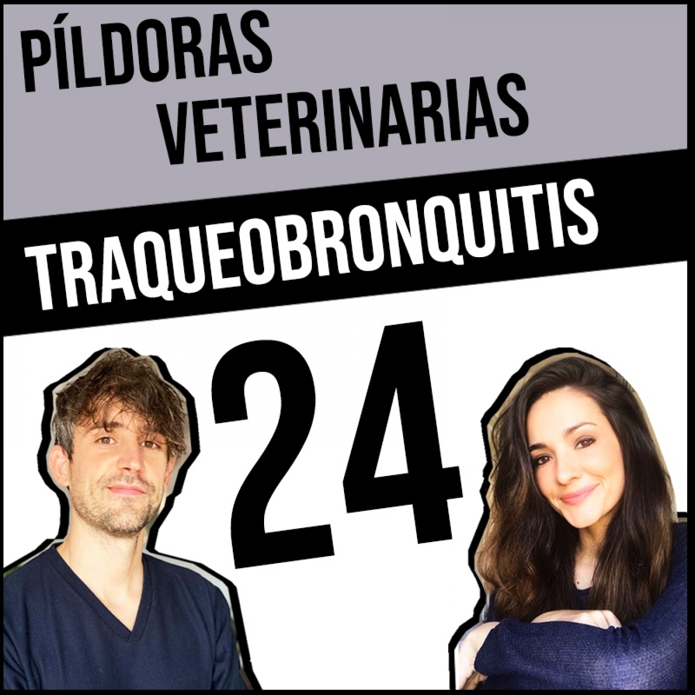 Píldoras Veterinarias