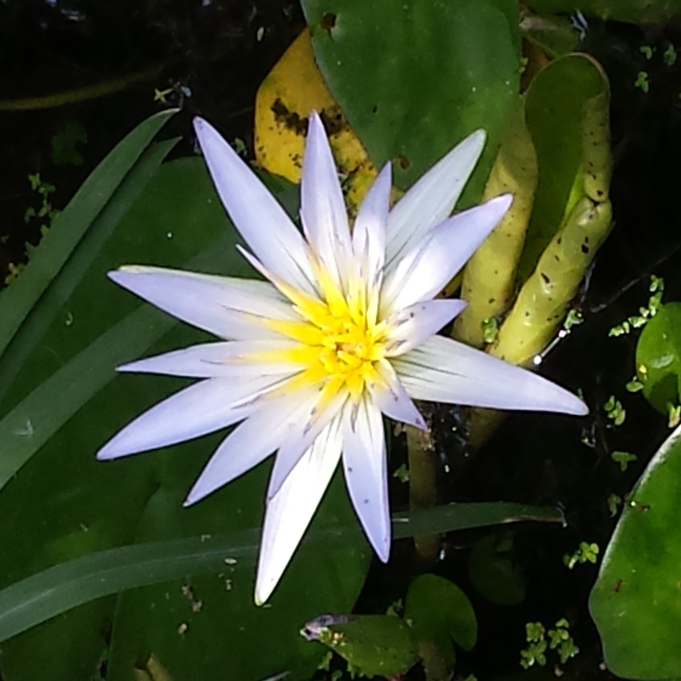 Nuestra Mente es Maravillosa