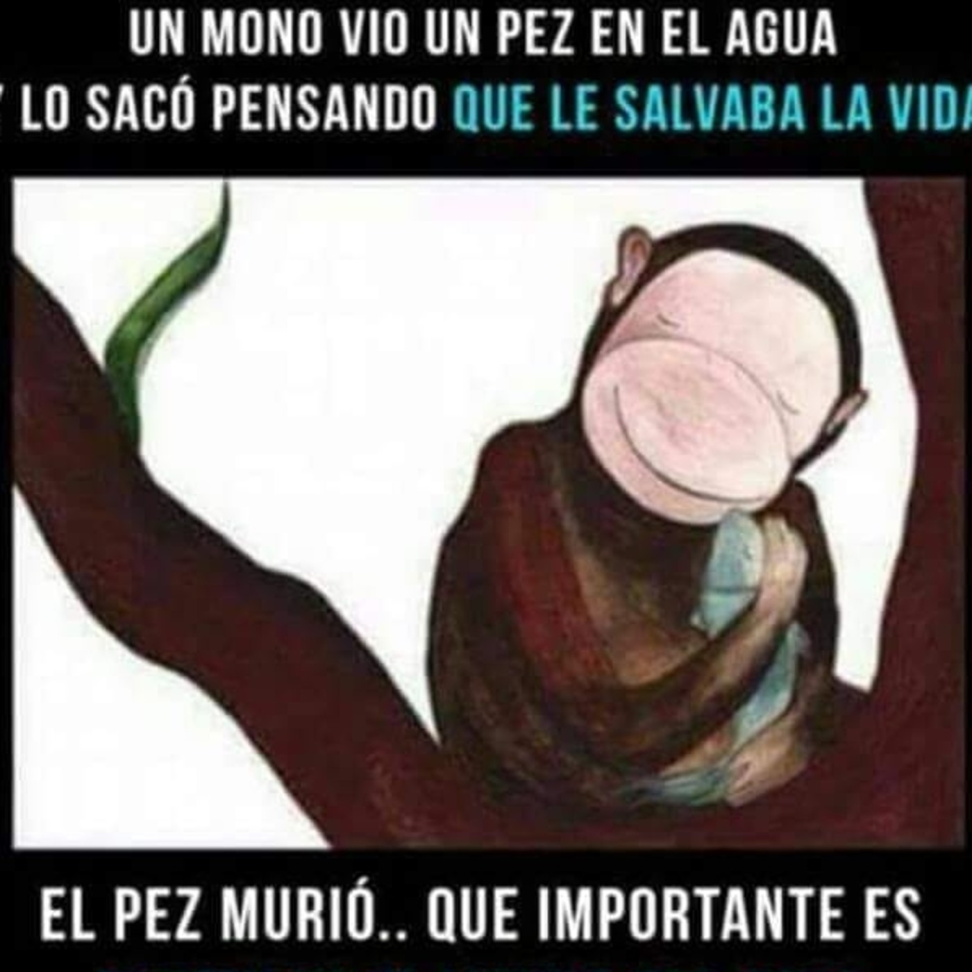 Análisis solidaridad
